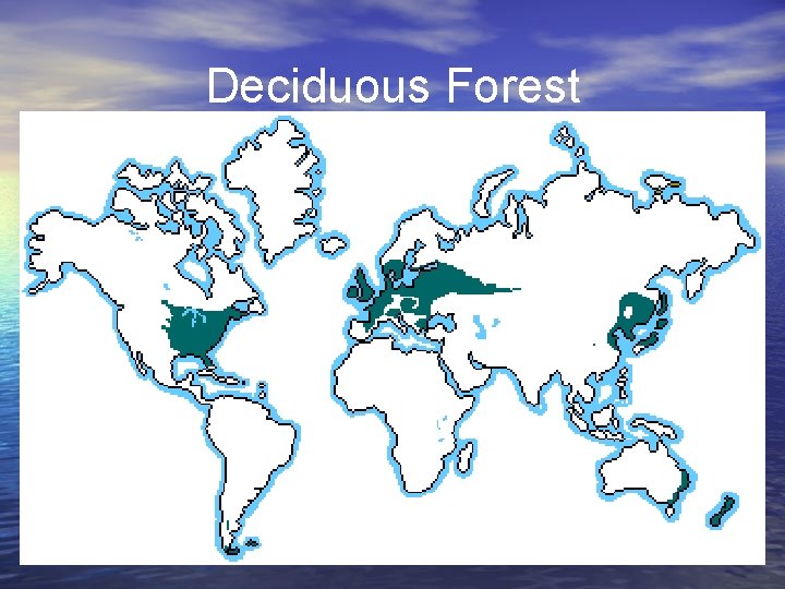 Deciduous Forest 