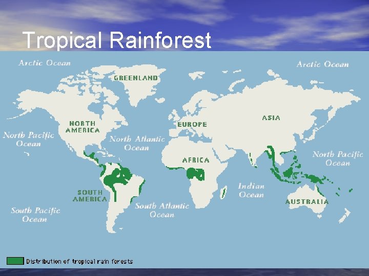 Tropical Rainforest 