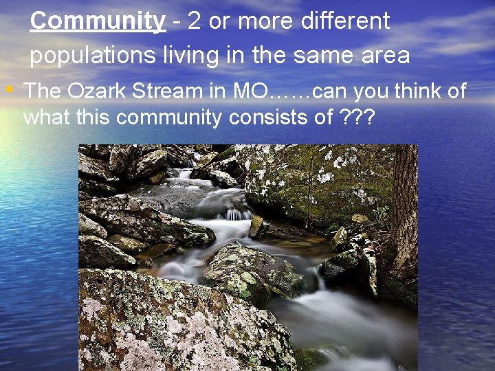 Community - 2 or more different populations living in the same area • The