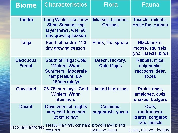 Biome Characteristics Flora Fauna Tundra Long Winter: ice snow Short Summer: top layer thaws,