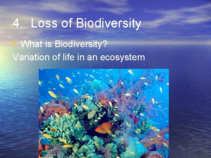 4. Loss of Biodiversity • What is Biodiversity? Variation of life in an ecosystem