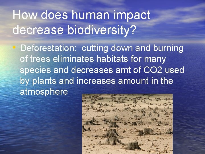 How does human impact decrease biodiversity? • Deforestation: cutting down and burning of trees