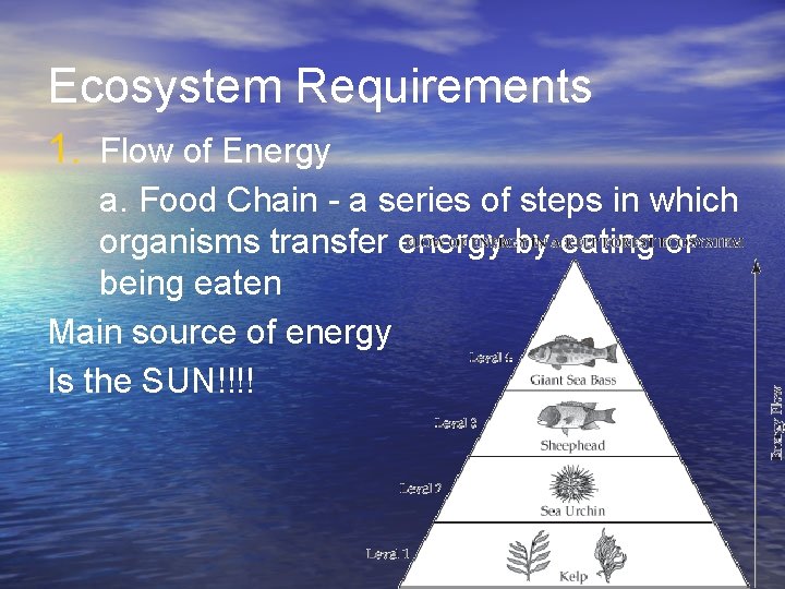 Ecosystem Requirements 1. Flow of Energy a. Food Chain - a series of steps