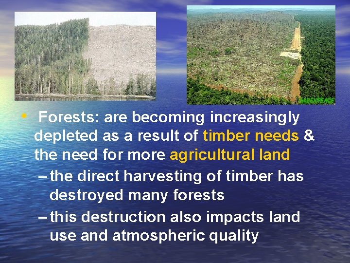  • Forests: are becoming increasingly depleted as a result of timber needs &
