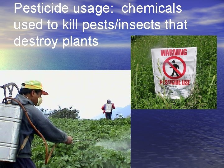 Pesticide usage: chemicals used to kill pests/insects that destroy plants 