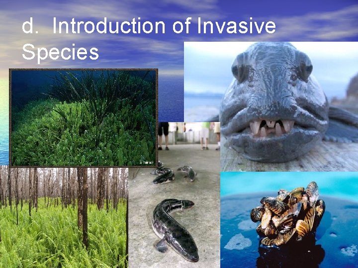 d. Introduction of Invasive Species 