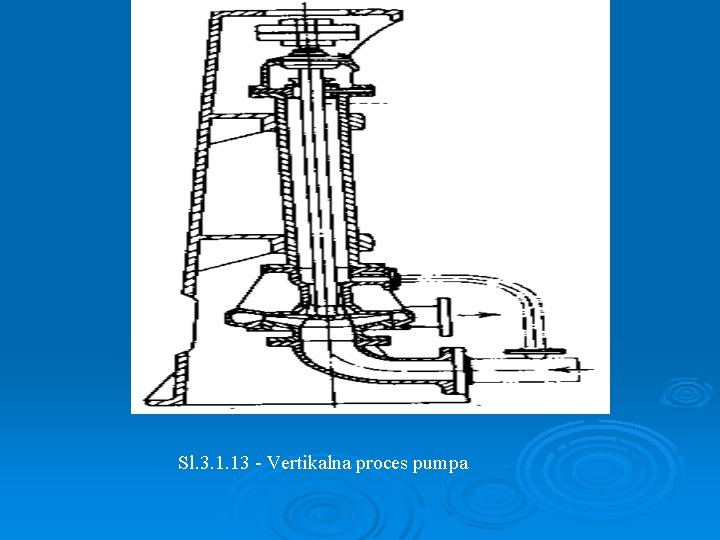 Sl. 3. 1. 13 - Vertikalna proces pumpa 