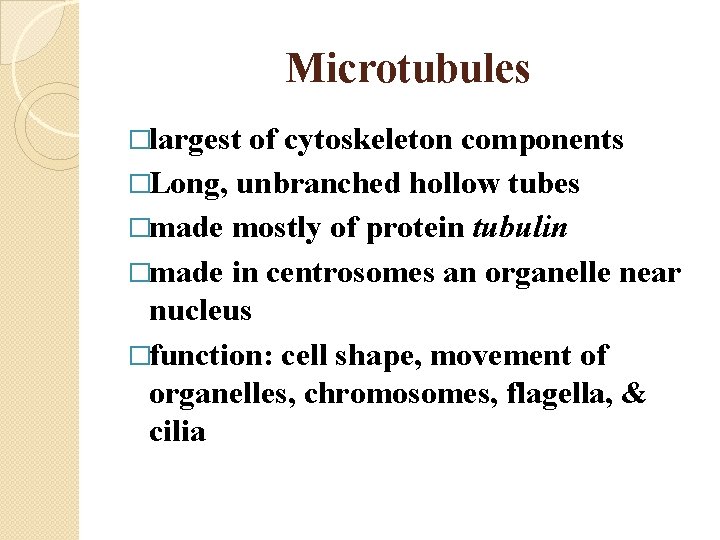 Microtubules �largest of cytoskeleton components �Long, unbranched hollow tubes �made mostly of protein tubulin