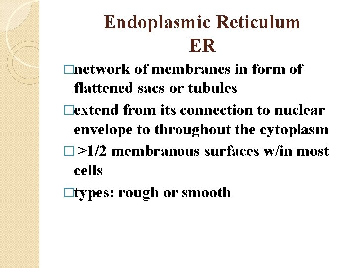 Endoplasmic Reticulum ER �network of membranes in form of flattened sacs or tubules �extend