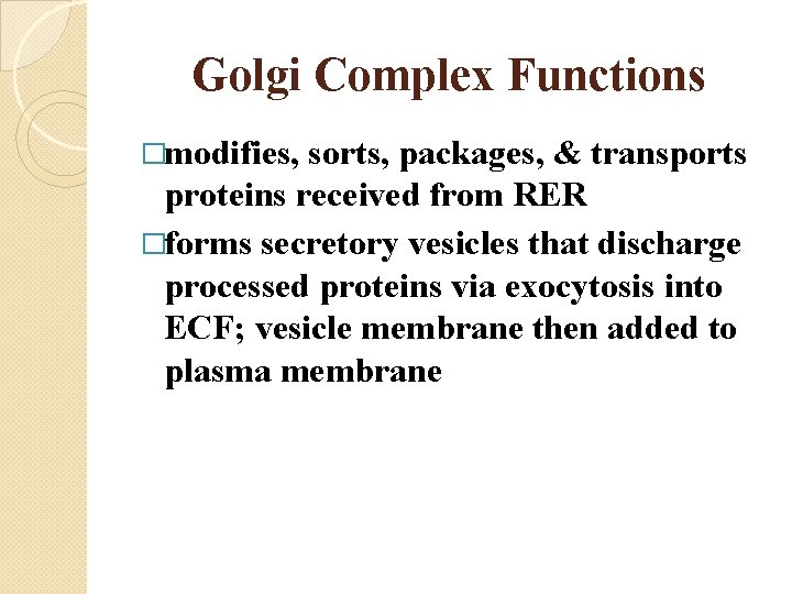 Golgi Complex Functions �modifies, sorts, packages, & transports proteins received from RER �forms secretory