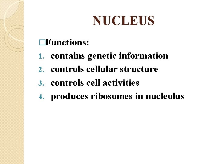 NUCLEUS �Functions: contains genetic information 2. controls cellular structure 3. controls cell activities 4.