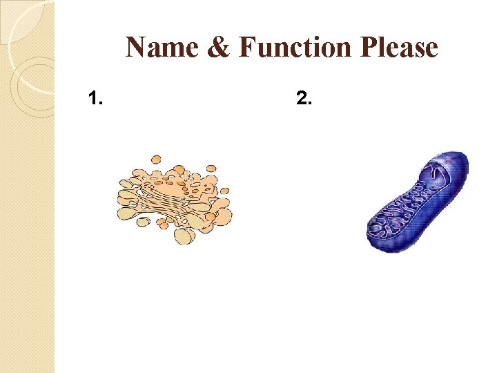 Name & Function Please 1. 2. 