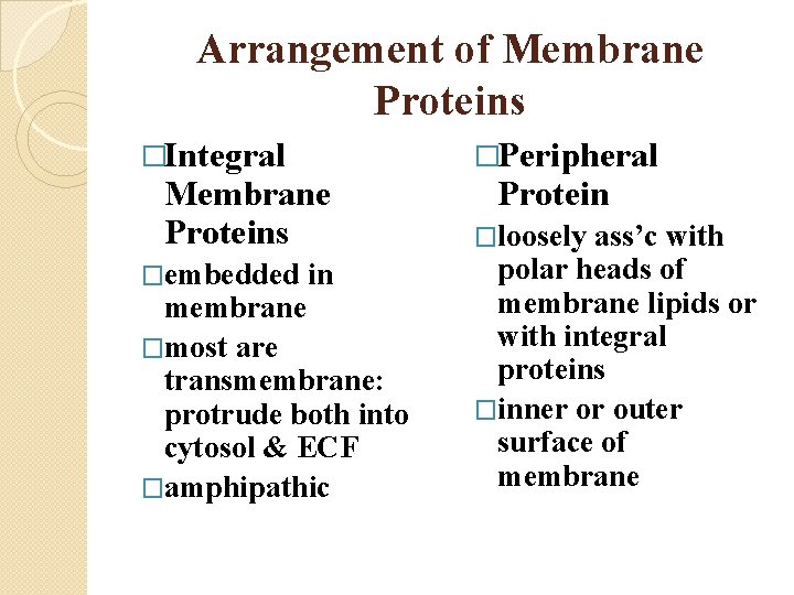 Arrangement of Membrane Proteins �Integral Membrane Proteins �embedded in membrane �most are transmembrane: protrude