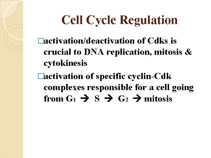 Cell Cycle Regulation �activation/deactivation of Cdks is crucial to DNA replication, mitosis & cytokinesis