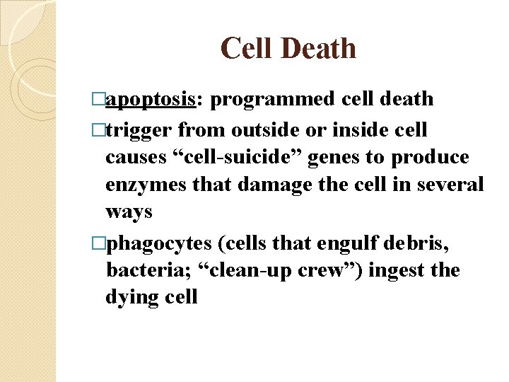 Cell Death �apoptosis: programmed cell death �trigger from outside or inside cell causes “cell-suicide”