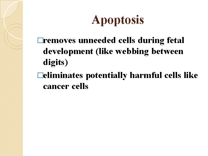 Apoptosis �removes unneeded cells during fetal development (like webbing between digits) �eliminates potentially harmful