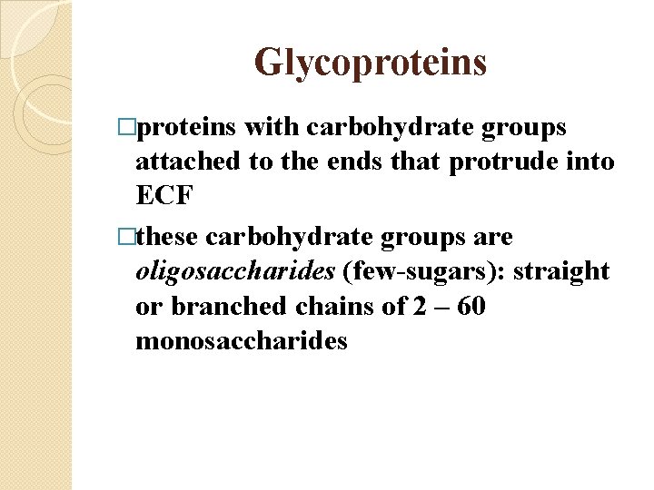 Glycoproteins �proteins with carbohydrate groups attached to the ends that protrude into ECF �these