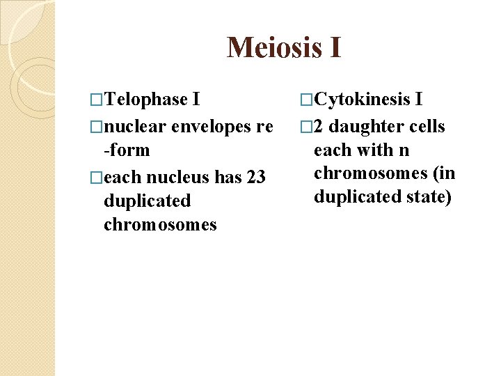Meiosis I �Telophase I �nuclear envelopes re -form �each nucleus has 23 duplicated chromosomes