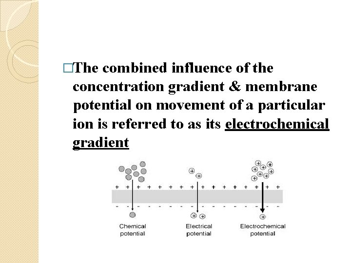 �The combined influence of the concentration gradient & membrane potential on movement of a