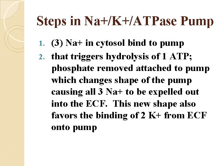 Steps in Na+/K+/ATPase Pump (3) Na+ in cytosol bind to pump 2. that triggers