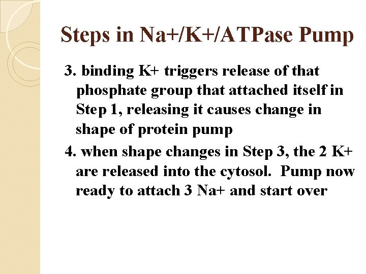Steps in Na+/K+/ATPase Pump 3. binding K+ triggers release of that phosphate group that