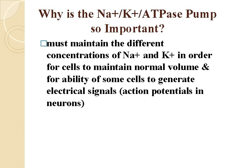 Why is the Na+/K+/ATPase Pump so Important? �must maintain the different concentrations of Na+