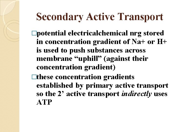 Secondary Active Transport �potential electricalchemical nrg stored in concentration gradient of Na+ or H+
