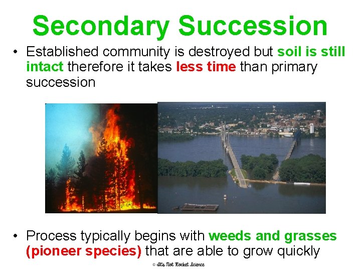 Secondary Succession • Established community is destroyed but soil is still intact therefore it