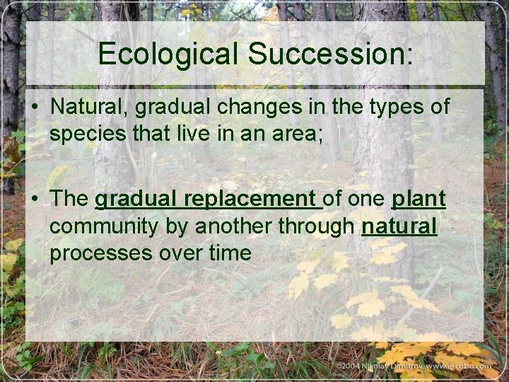 Ecological Succession: • Natural, gradual changes in the types of species that live in