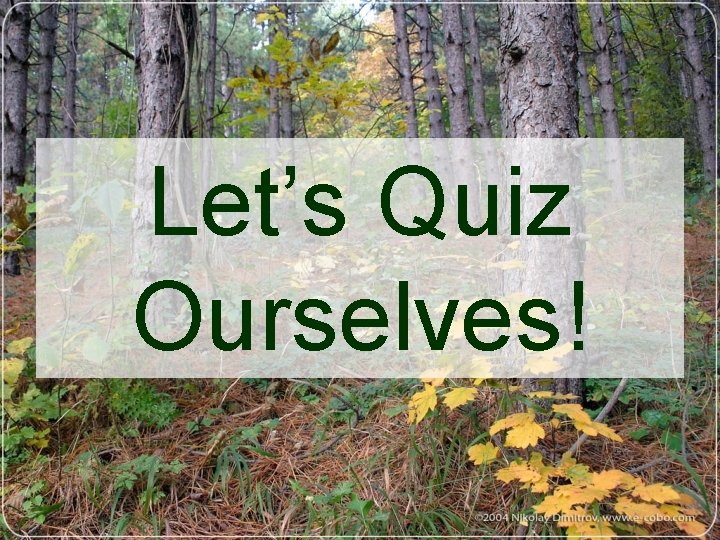 Let’s Quiz Ourselves! 