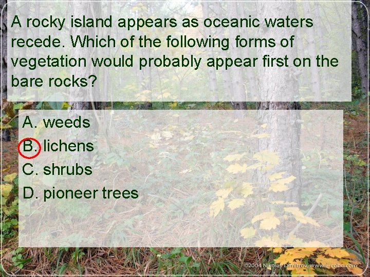 A rocky island appears as oceanic waters recede. Which of the following forms of