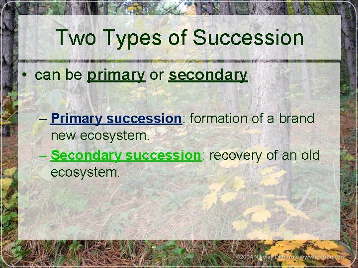 Two Types of Succession • can be primary or secondary – Primary succession: formation