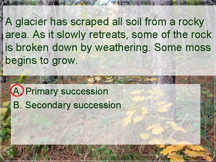 A glacier has scraped all soil from a rocky area. As it slowly retreats,