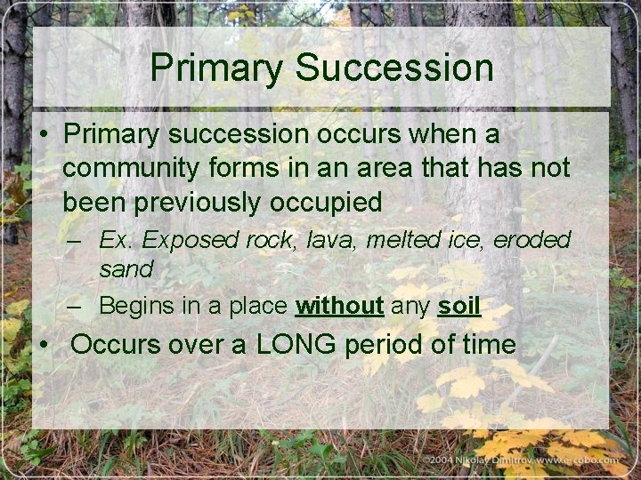 Primary Succession • Primary succession occurs when a community forms in an area that