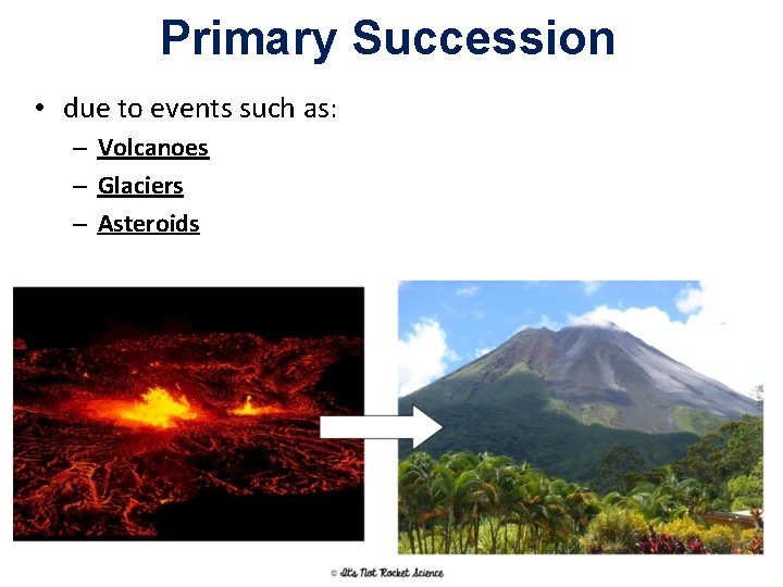 Primary Succession • due to events such as: – Volcanoes – Glaciers – Asteroids
