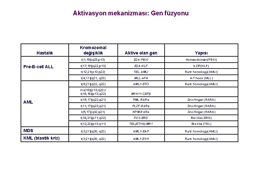 Aktivasyon mekanizması: Gen füzyonu Kromozomal değişiklik Aktive olan gen Yapısı t(1; 19)(q 23; p