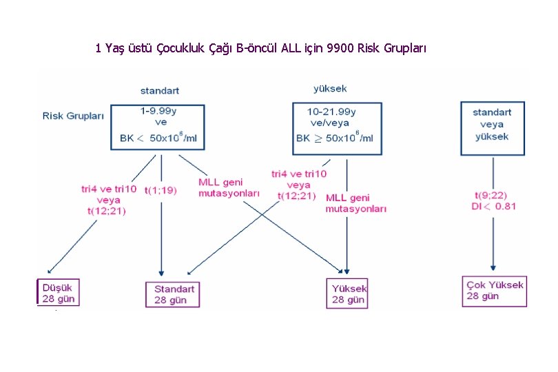 1 Yaş üstü Çocukluk Çağı B-öncül ALL için 9900 Risk Grupları 