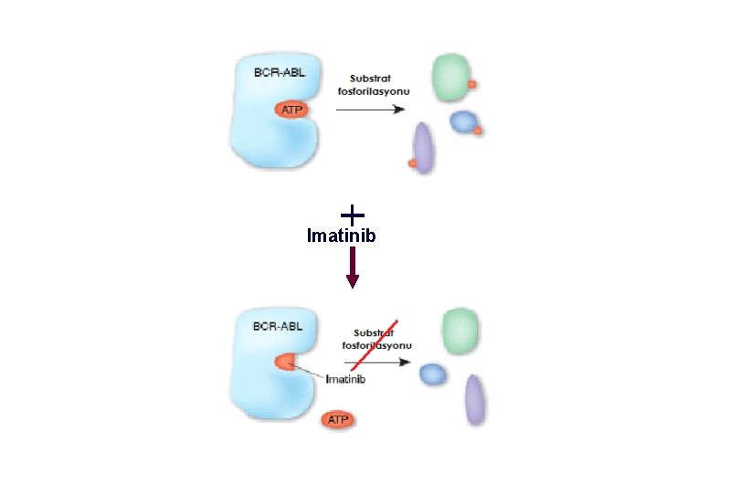 Imatinib 