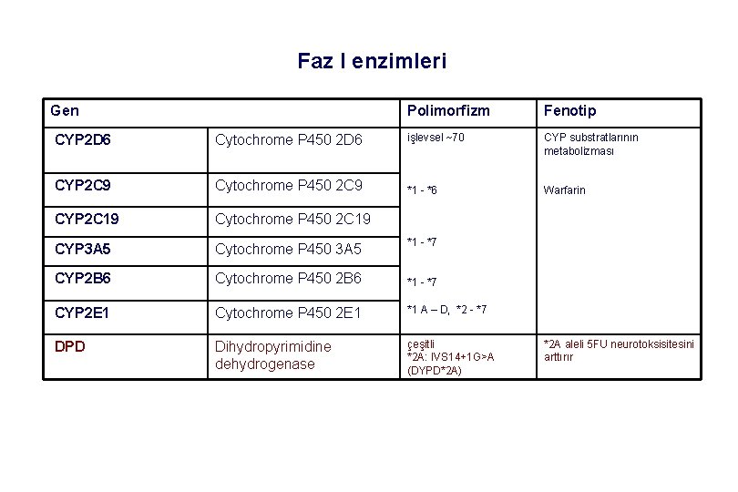 Faz I enzimleri Gen Polimorfizm Fenotip CYP 2 D 6 Cytochrome P 450 2