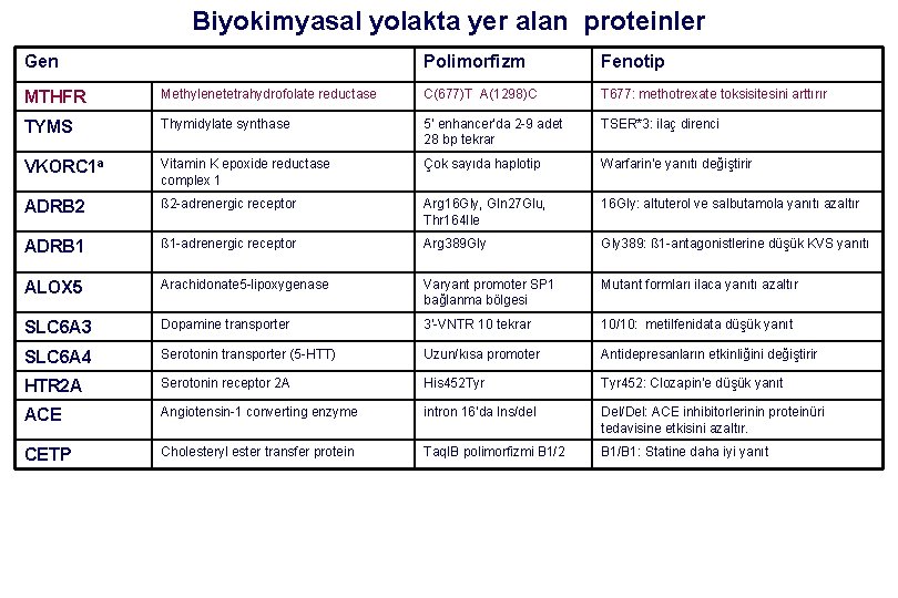 Biyokimyasal yolakta yer alan proteinler Gen Polimorfizm Fenotip MTHFR Methylenetetrahydrofolate reductase C(677)T A(1298)C T