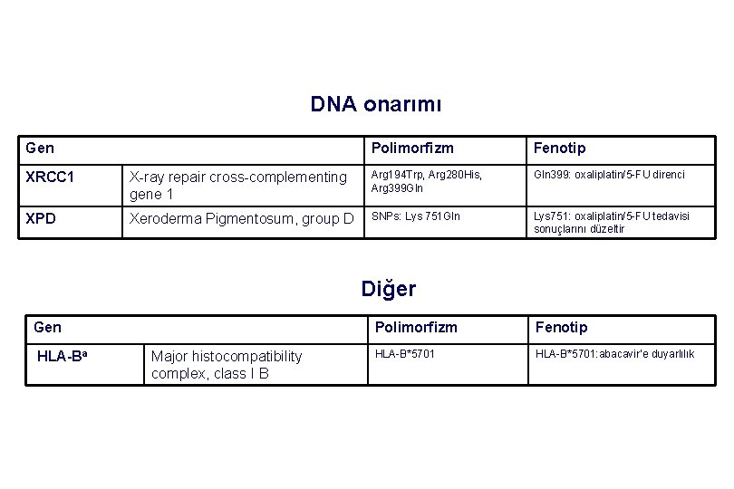 DNA onarımı Gen Polimorfizm Fenotip XRCC 1 X-ray repair cross-complementing gene 1 Arg 194