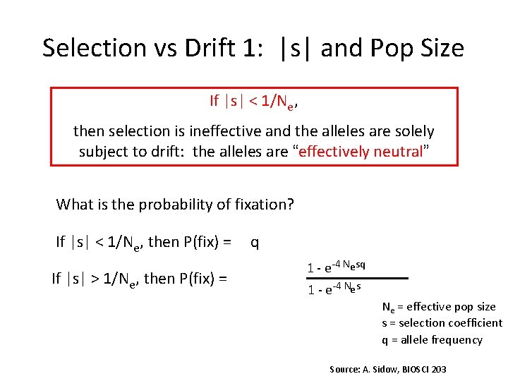 Selection vs Drift 1: |s| and Pop Size If |s| < 1/Ne, then selection