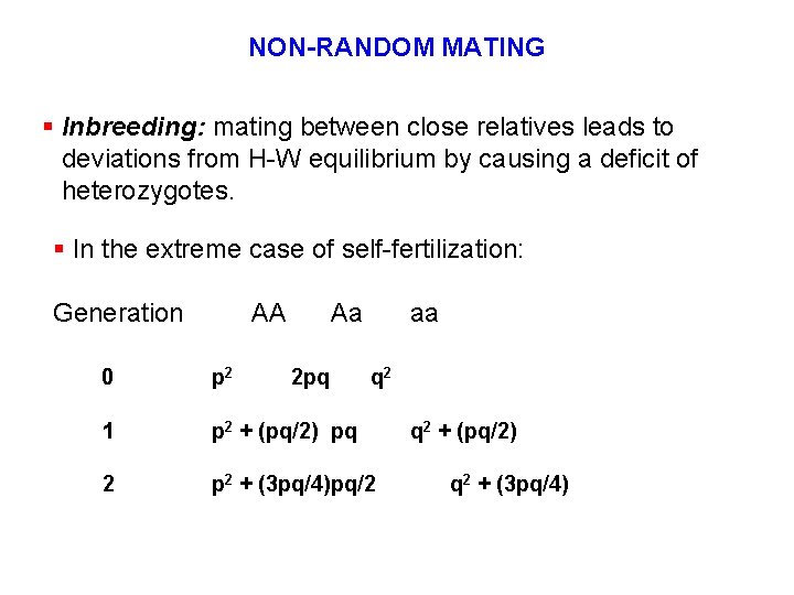 NON-RANDOM MATING § Inbreeding: mating between close relatives leads to deviations from H-W equilibrium