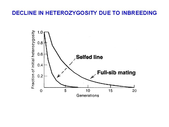 DECLINE IN HETEROZYGOSITY DUE TO INBREEDING 