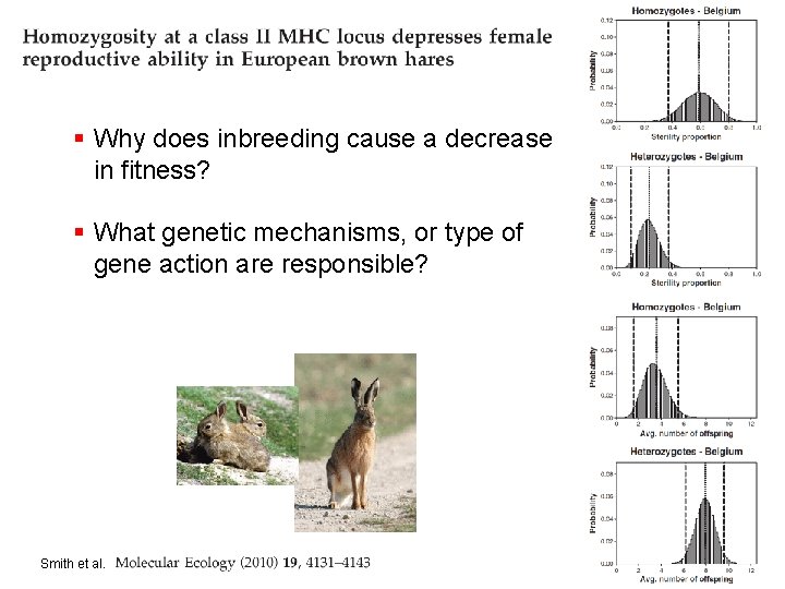 § Why does inbreeding cause a decrease in fitness? § What genetic mechanisms, or