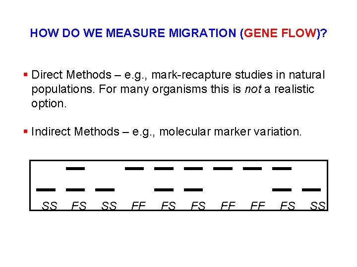 HOW DO WE MEASURE MIGRATION (GENE FLOW)? § Direct Methods – e. g. ,