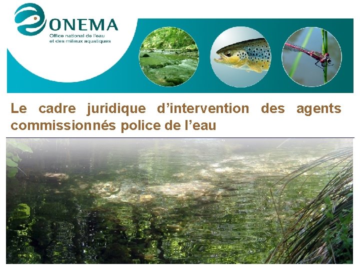 Le cadre juridique d’intervention des agents commissionnés police de l’eau 