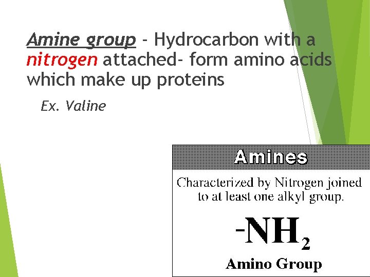 Amine group - Hydrocarbon with a nitrogen attached- form amino acids which make up