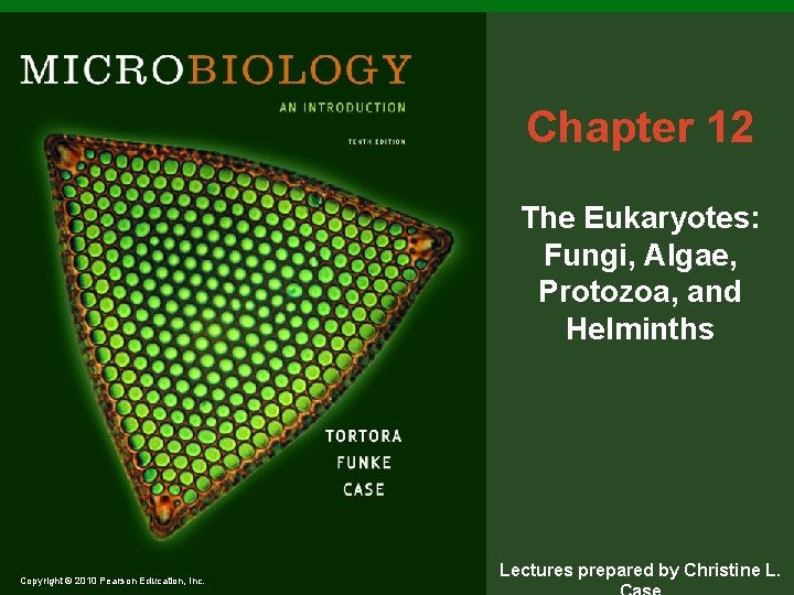 Chapter 12 The Eukaryotes: Fungi, Algae, Protozoa, and Helminths Copyright © 2010 Pearson Education,