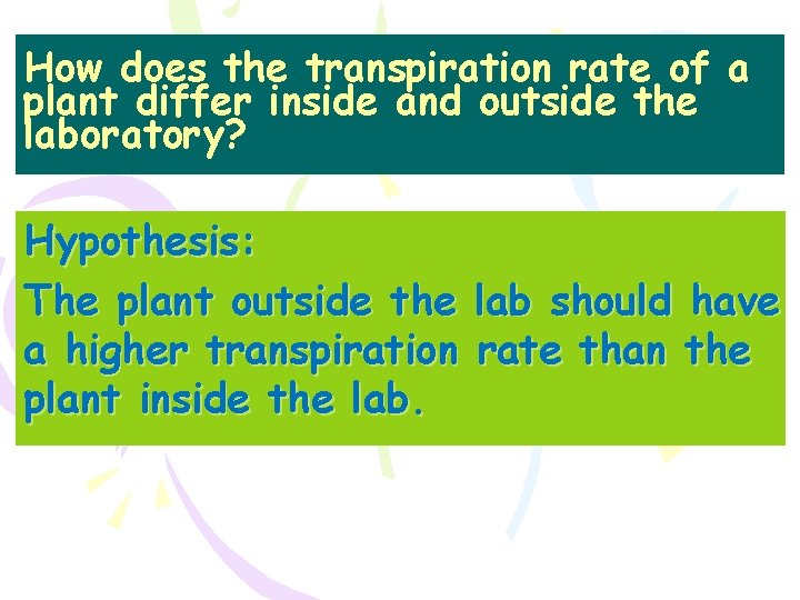 How does the transpiration rate of a plant differ inside and outside the laboratory?